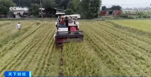 農(nóng)業(yè)培育新進展 科技賦能未來農(nóng)業(yè)