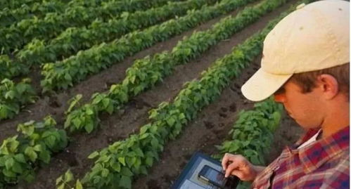 精準農(nóng)業(yè)的5種模式 建議農(nóng)人們了解一下，助力農(nóng)業(yè)種植提質(zhì)增效