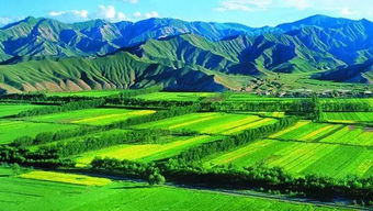 農(nóng)業(yè)種植效益提升之道 核心要素與科學實踐