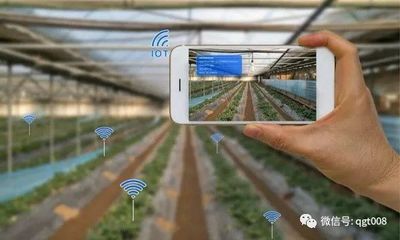 江蘇省數(shù)字農(nóng)業(yè)農(nóng)村工作要點(diǎn)發(fā)布，農(nóng)業(yè)培育迎來(lái)新機(jī)遇