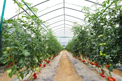 基地春耕忙，彩食鮮訂單農(nóng)業(yè)迎蓬勃發(fā)展