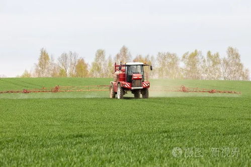 春風(fēng)化雨亦成災(zāi) 春季大風(fēng)天氣下的農(nóng)業(yè)種植與培育要點
